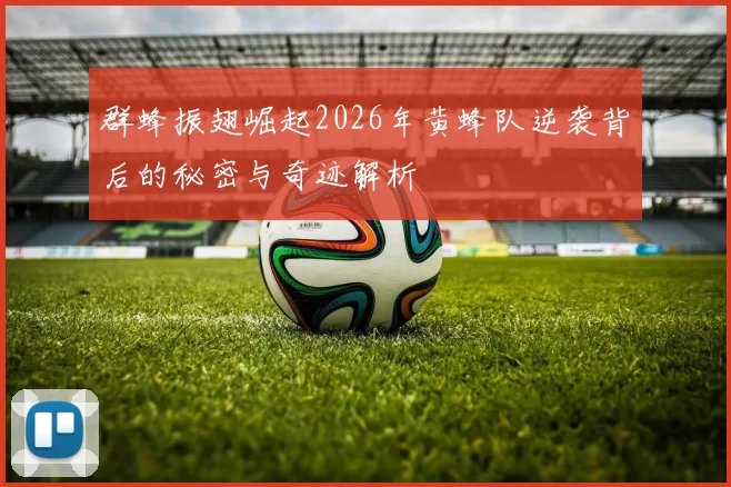 群蜂振翅崛起2026年黄蜂队逆袭背后的秘密与奇迹解析