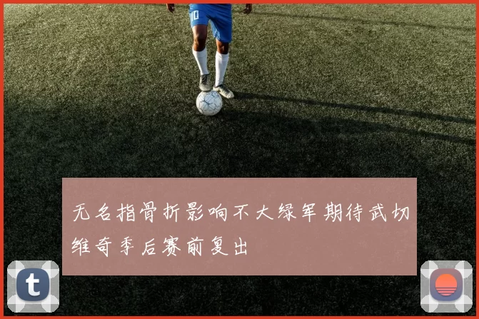 无名指骨折影响不大绿军期待武切维奇季后赛前复出