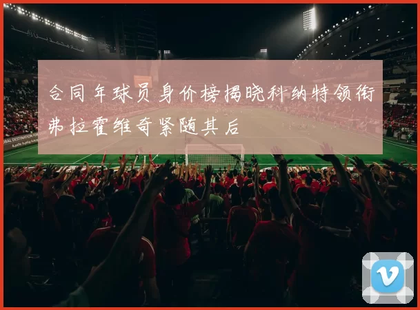合同年球员身价榜揭晓科纳特领衔弗拉霍维奇紧随其后